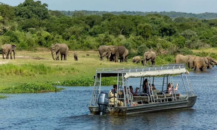 MurchisonFallsboatcruise